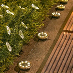 solar ground disk lights, outdoor lighting Australia, 8 LED lights, stainless steel solar lights, path lighting, garden driveway lights, courtyard lawn lighting, solar powered ground lights, energy efficient garden lights, automatic dusk to dawn lights -