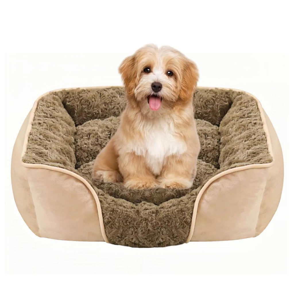 Dog Bed for Small Medium Dogs, Cat Bed for Indoor Cats. Washable Orthopedic Dog Bed. Removable Sleeping Mat, Durable Pet Bed with Anti-Slip Bottom - Camel - Size 63cm×53cm
