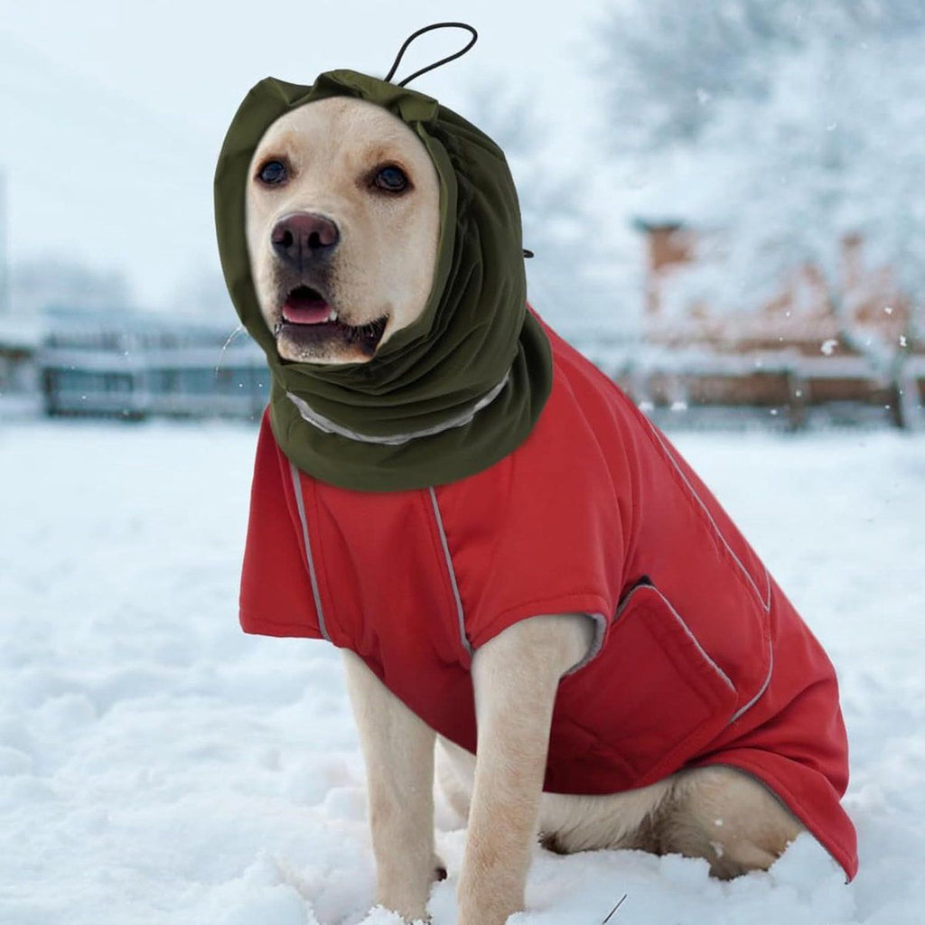 Dog Winter Earmuffs Calming Waterproof Snowproof Army Green, Size M, 40-54 cm