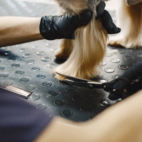Dog Grooming Scissors Trimmer Kit