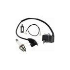 Ignition Coil Kit for STIHL FS120 FS200 FS250 FS300 FS350 FR350 FR450 FR480 BT120 BT121 Brushcutter, Replaces 4134 400 1301