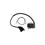 Ignition Coil Kit for STIHL FS120 FS200 FS250 FS300 FS350 FR350 FR450 FR480 BT120 BT121 Brushcutter, Replaces 4134 400 1301