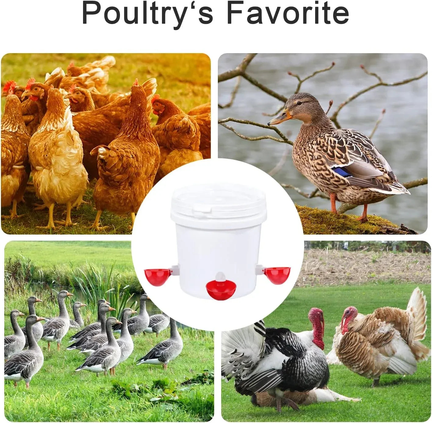 8 Pack Chicken Waterer Cups Automatic Leakproof Poultry Drinking System with Tee Fitting and Mounting Tool for Chickens Red