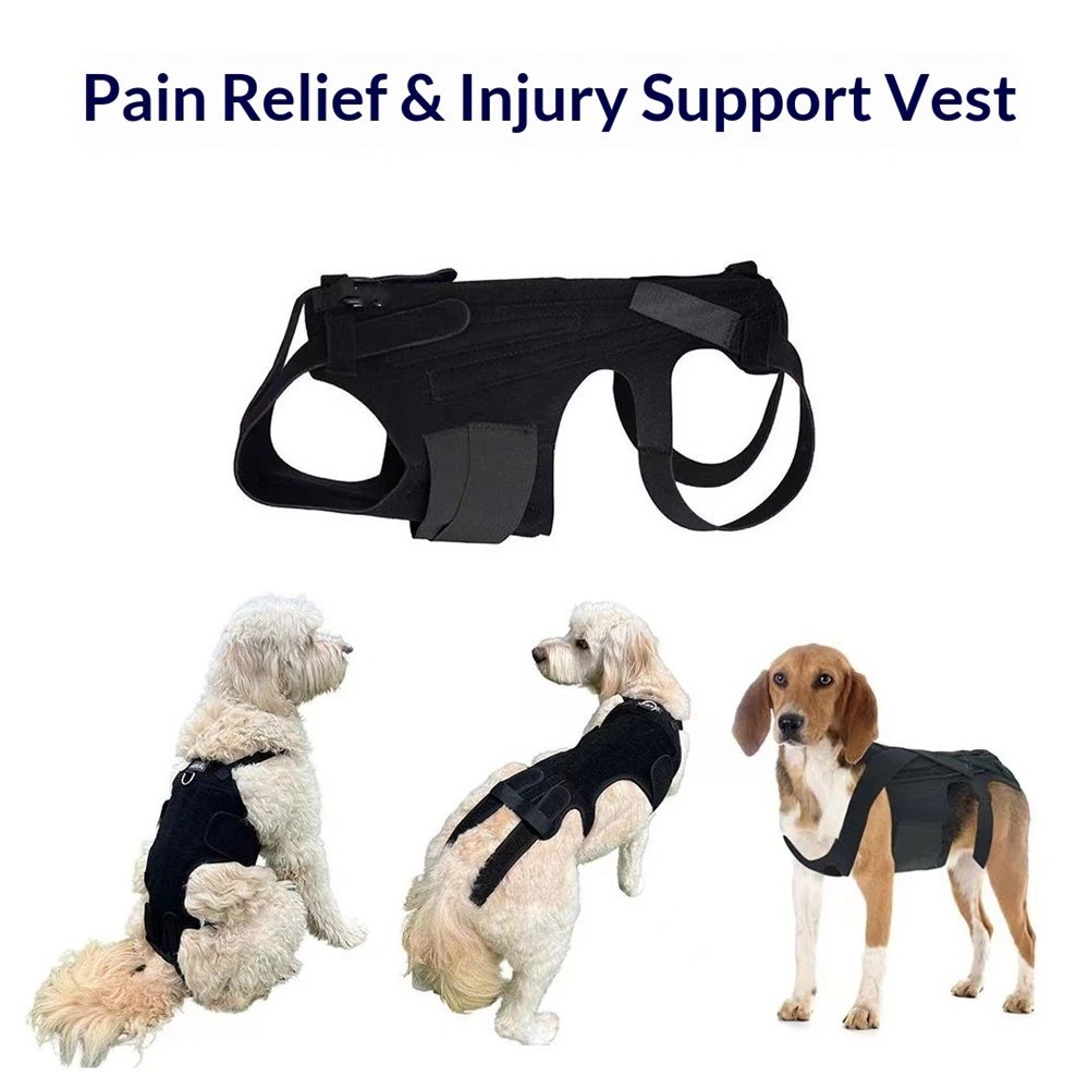 Dog Back Brace for Small Dogs - Adjustable Spinal Stability Brace, Comfortable for Senior or Less Mobile Small Dogs, Black M