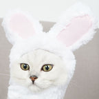 4 Pcs Adorable Bunny Ears Cat Hat