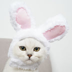 4 Pcs Adorable Bunny Ears Cat Hat