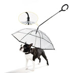 Bendable transparent pet umbrella with leash chain, rain or shine, one umbrella for outdoor pet walks
