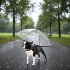 Bendable transparent pet umbrella with leash chain, rain or shine, one umbrella for outdoor pet walks