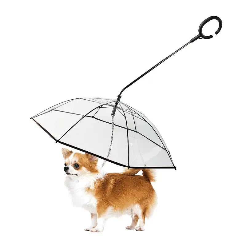 Bendable transparent pet umbrella with leash chain, rain or shine, one umbrella for outdoor pet walks