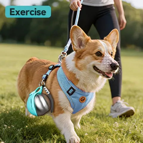 Portable Stainless Steel Cat & Dog Water Bottle, Leak-Proof 2-in-1 with Bowl, One-Press Drink & Feed for Outdoor Walks & Travel, Lightweight & Easy to Carry, Pet Essential./blue