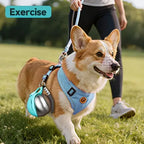 Portable Stainless Steel Cat & Dog Water Bottle, Leak-Proof 2-in-1 with Bowl, One-Press Drink & Feed for Outdoor Walks & Travel, Lightweight & Easy to Carry, Pet Essential./blue