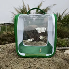 1 Pc Green Butterfly Kit With Live Caterpillars, Portable Foldable Insect Habitat Cage and Butterfly House