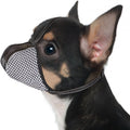 Black Soft Air Mesh Dog Muzzle for Extra Small Dogs, Adjustable Reflective Full Coverage Mouth Guard for Grooming Scavenging, Size XS