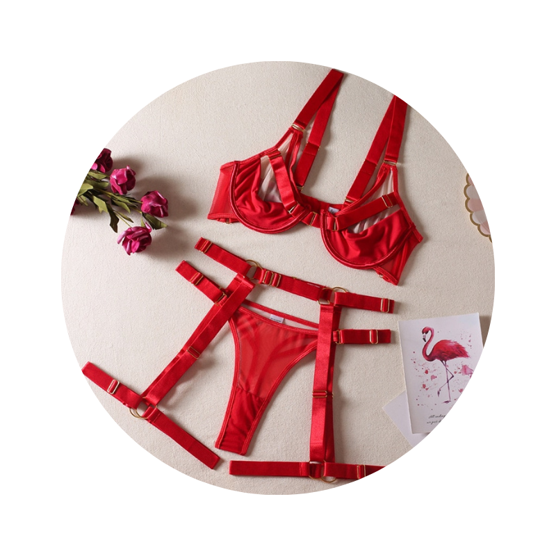 House Of Dasein Strappy Fetish Lingerie Bra Garter Underwear For Women In Black And Red - Red - L