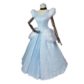 House Of Dasein Cinderella Dress High Quality Cosplay Princess Costume Adult - Xxl