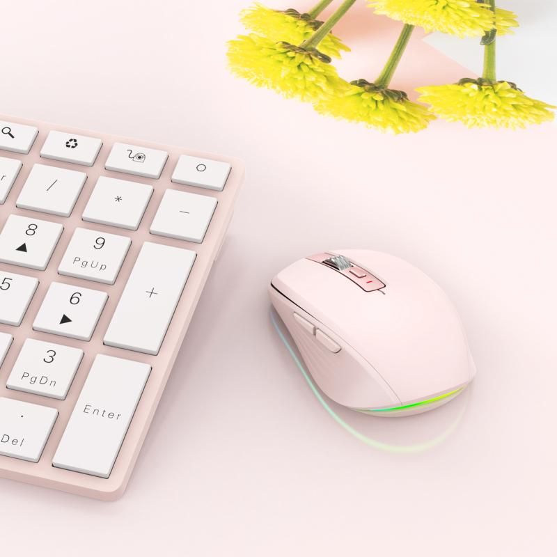 2.4G+BT5.1 Dual-mode Wireless Gaming M,Ergonomic Design 4-gear Adjustable DPI(Pink)