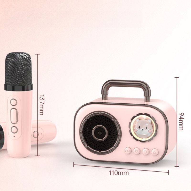 Dual Mic Karaoke Speaker, Portable Bluetooth Karaoke Audio Set, Family Wireless Microphone KTV Speaker—Green