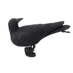 Realistic Elbow Crow Statue Plastic Waterproof Crow Decoys for Yard Garden Patios Halloween Decoration