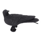 Realistic Elbow Crow Statue Plastic Waterproof Crow Decoys for Yard Garden Patios Halloween Decoration