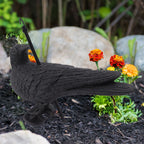 Realistic Elbow Crow Statue Plastic Waterproof Crow Decoys for Yard Garden Patios Halloween Decoration