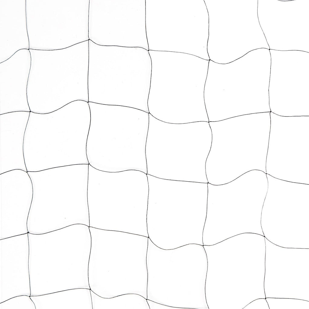 Bird Protective Net Light Weight Reusable Protect Fruit Tree Net for Birds Deer Chickens Ducks Dogs Hole Spacing 5cm/2 in