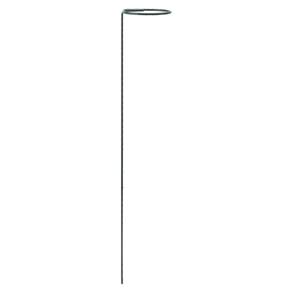 12Pcs Plant Stakes Reusable Plant Sticks Support Anti Rust Stem Flower Support for Home Garden Yard Farm