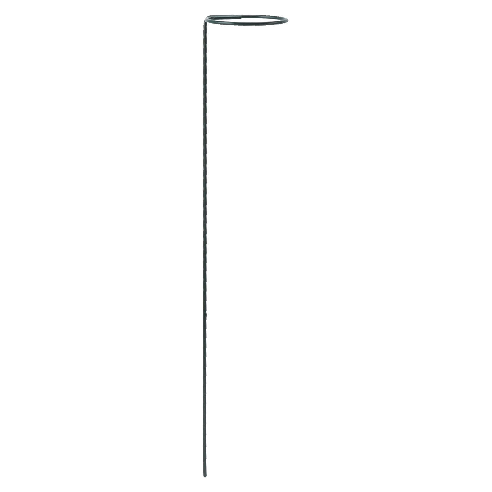 12Pcs Plant Stakes Reusable Plant Sticks Support Anti Rust Stem Flower Support for Home Garden Yard Farm