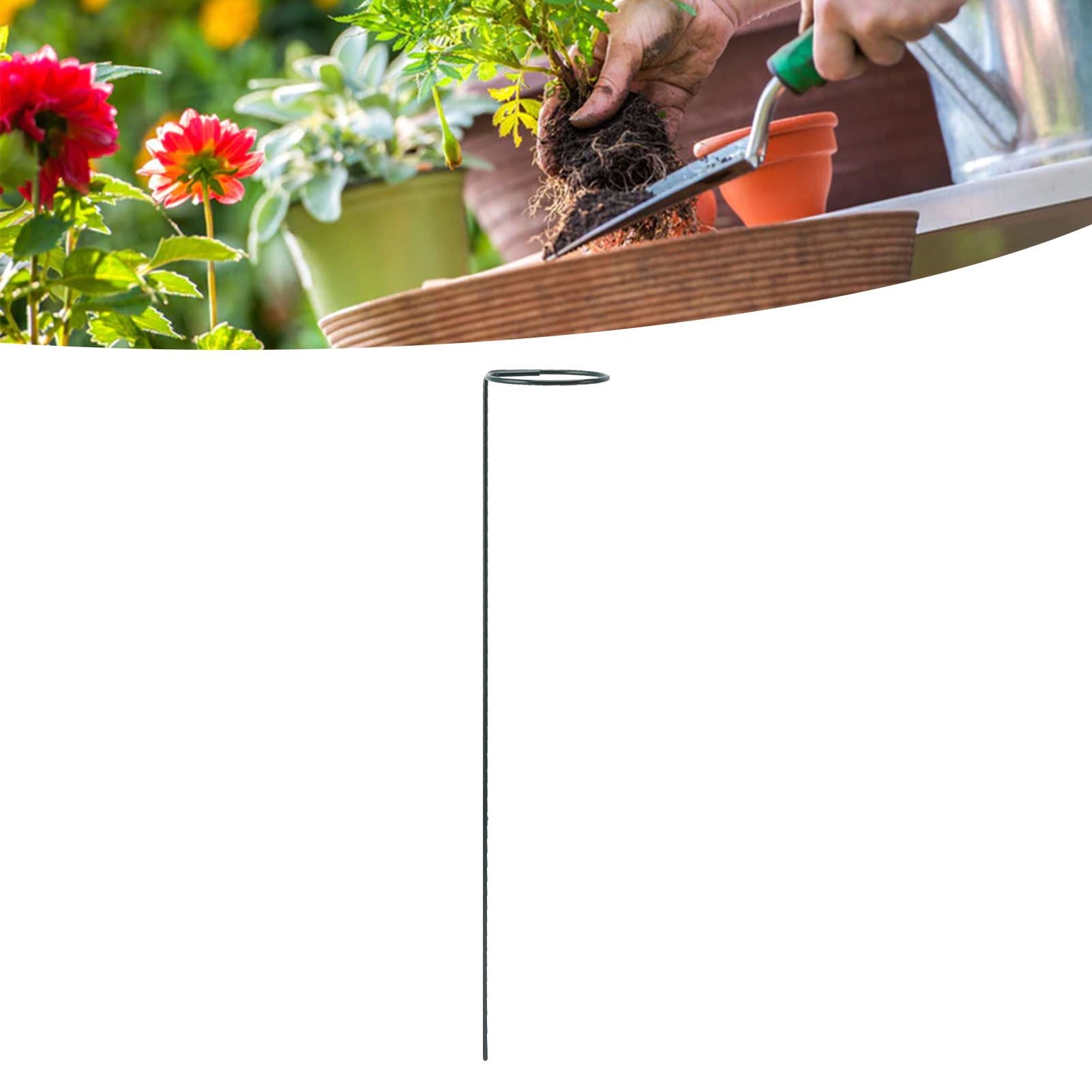 12Pcs Plant Stakes Reusable Plant Sticks Support Anti Rust Stem Flower Support for Home Garden Yard Farm