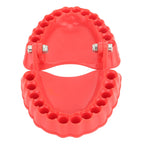 Denture Drill Bit Holder Denture Screwdriver Organizer 3D Sculpture Desk Decor 28 Holes Red Without Bits