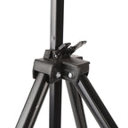 Artist Easel Stand Ferroalloy Adjustable Folding Tripod Display Easel for Drawing Painting Black