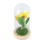 Simulation Sunflower Glass Cover Decoration Luminous LED Artificial Eternal Sunflower Glass Dome for Women