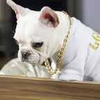 Dog Chain Pet Dog Metal Gold Collar Necklace Pet Jewelry Accessories for Four Seasons