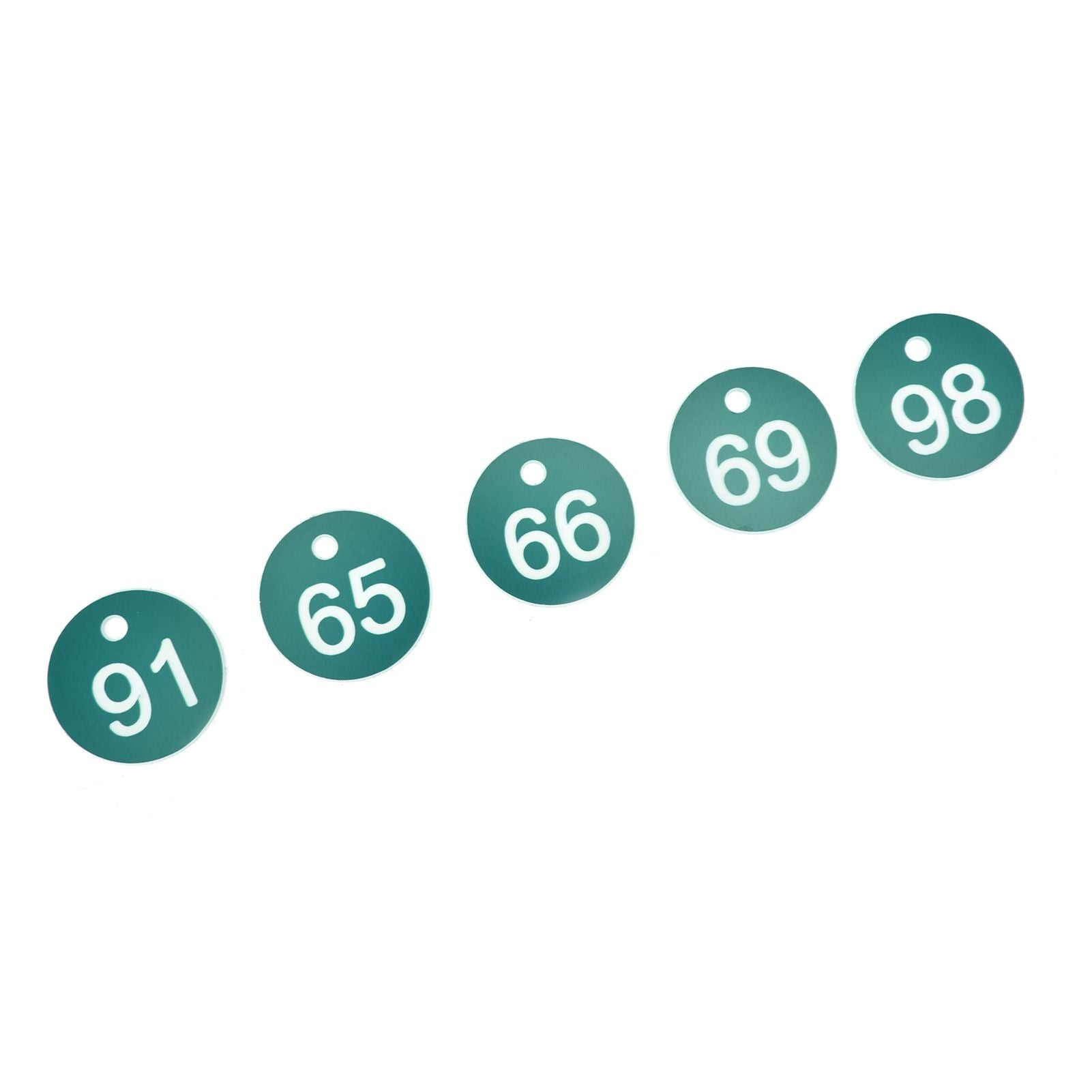 50PCS Numbered Label Numbered Tag for Farm Livestock Beekeeping Husbandry Breeding Supplies51-100 Green