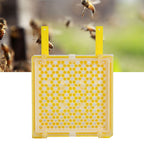 Apiculture System Kit Queen Bee Rearing System Box Beekeeping Box Rearing Grafting Kit