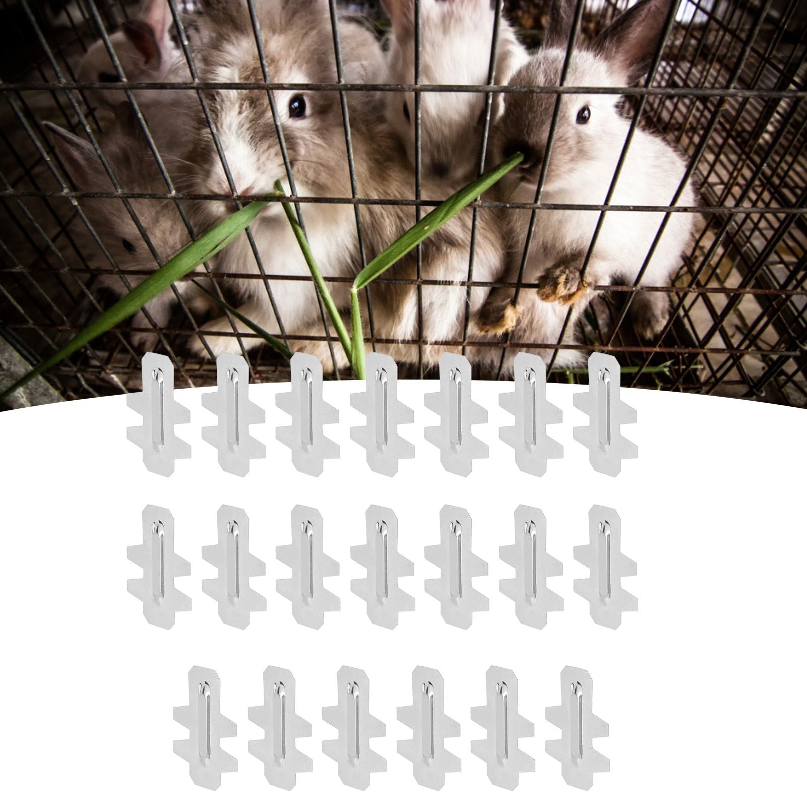 20Pcs Stainless Steel Rabbit Cage Door Hook Card Accessory Cage Hardware Breeding Equipment