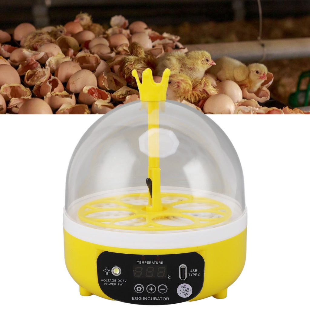 Mini Egg Incubator for Home Automatic Temperature Humidity Control 4 Eggs Candler Poultry Hatching Machine for Chickens Ducks Pigeons Auto Turning