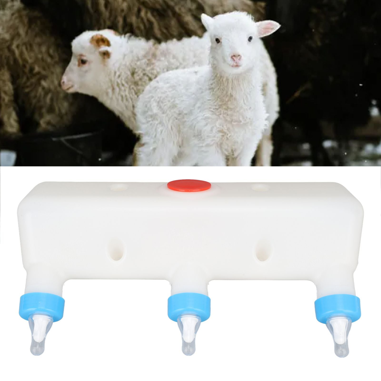 3 Pacifier Small Animal Milk Feeder Piglet Puppy Baby Lamp Goat Milk Feeder Farm Drinking Equipment