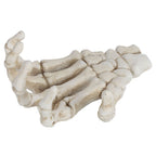 Halloween Skeleton Hands High Hardness Corrosion Resistance Light Weight Hand Bone Ornaments for Teaching Tool Bracket