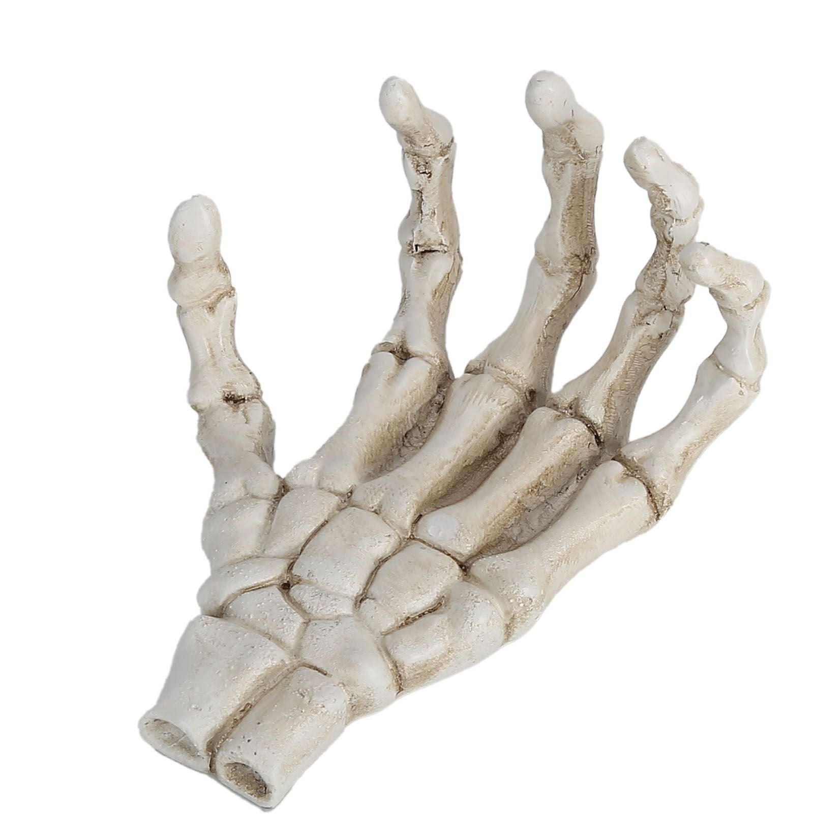 Halloween Skeleton Hands High Hardness Corrosion Resistance Light Weight Hand Bone Ornaments for Teaching Tool Bracket