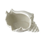 White Ceramic Conch Shell Conch Shape Ceramic Jewelry Tray Ocean Style Earrings Necklace Storage Dish Decorative Key Bowl