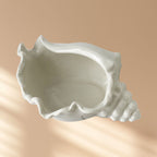 White Ceramic Conch Shell Conch Shape Ceramic Jewelry Tray Ocean Style Earrings Necklace Storage Dish Decorative Key Bowl