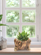 Cement Tree Stump Flower Pot