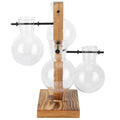 Innovative Hydroponic Vase with Wooden Stand Transparent Desktop Flower Vase for Home