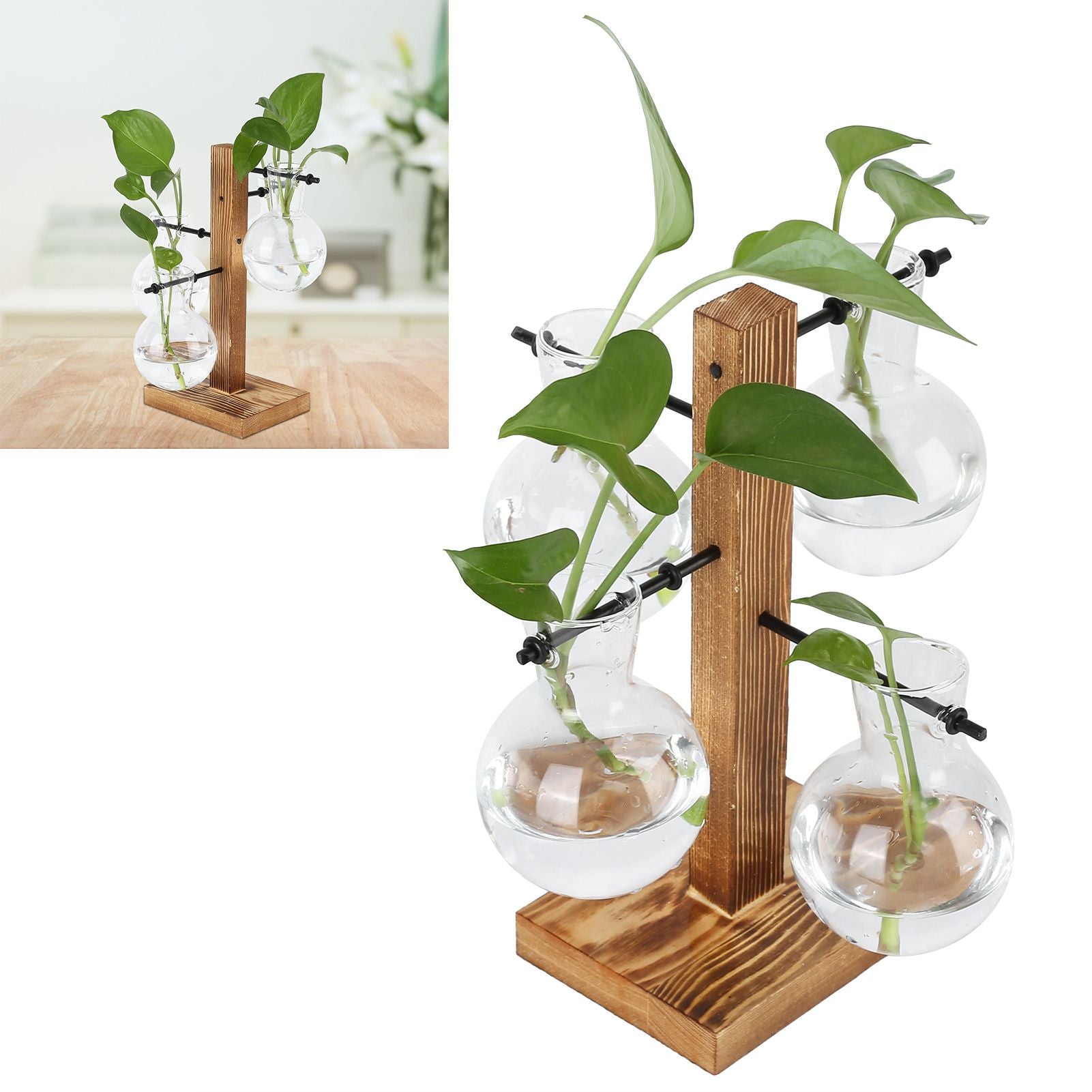Innovative Hydroponic Vase with Wooden Stand Transparent Desktop Flower Vase for Home
