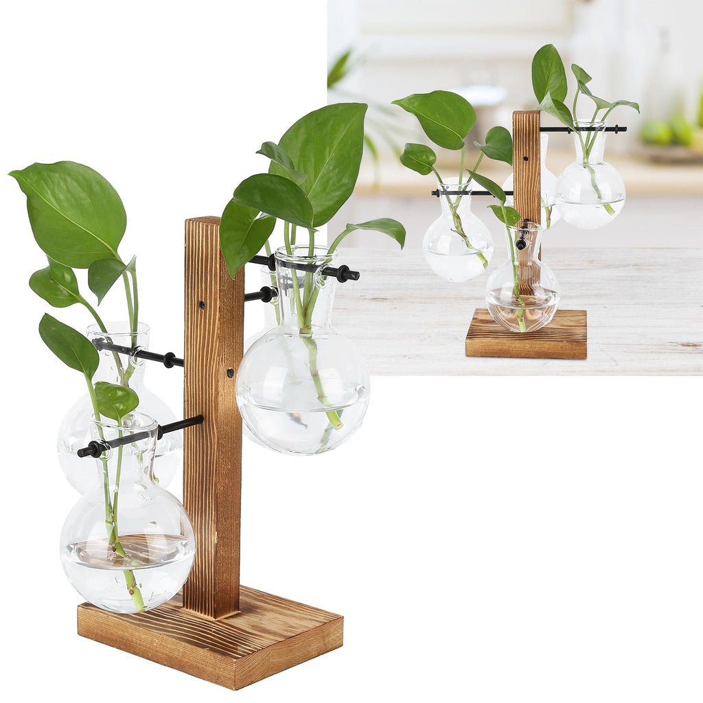 Innovative Hydroponic Vase with Wooden Stand Transparent Desktop Flower Vase for Home