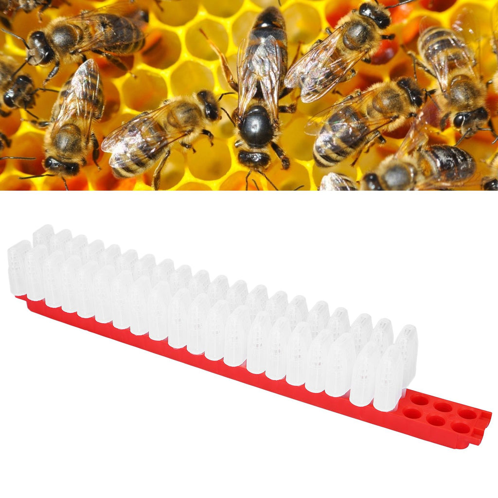 Bee Queen Cage Plastic Bee Rearing Cages Kit with Transport Strip Beekeeping Accessories