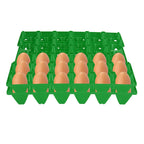 5PCS Plastic Egg Flats 30 Cell Egg Crates Holder Tray for Storage Transportation Home Farm SuppliesGreen