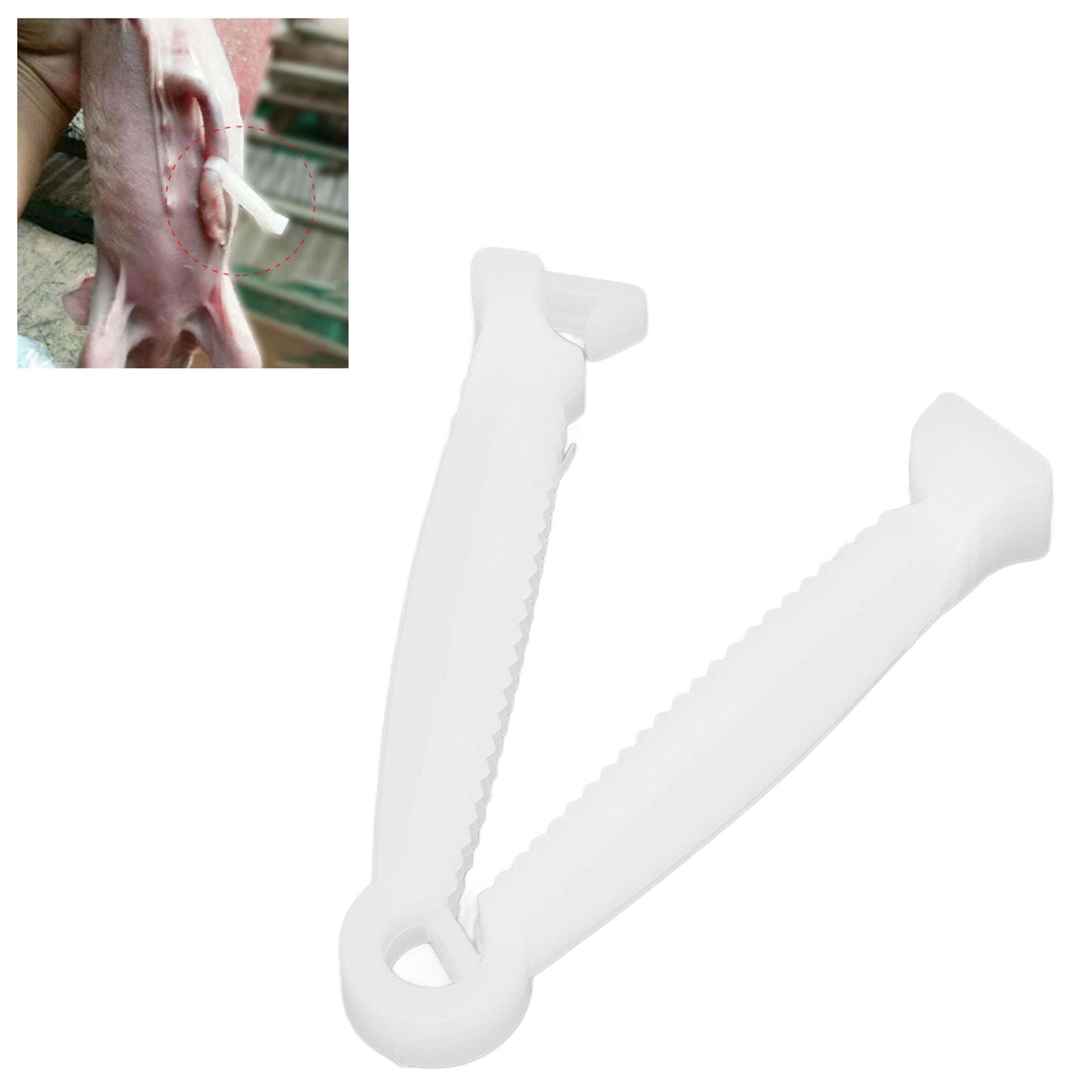 200PCS Pig Umbilical Cord Clamp Disposable Livestock Umbilical Cord Clip for Veterinary Farming