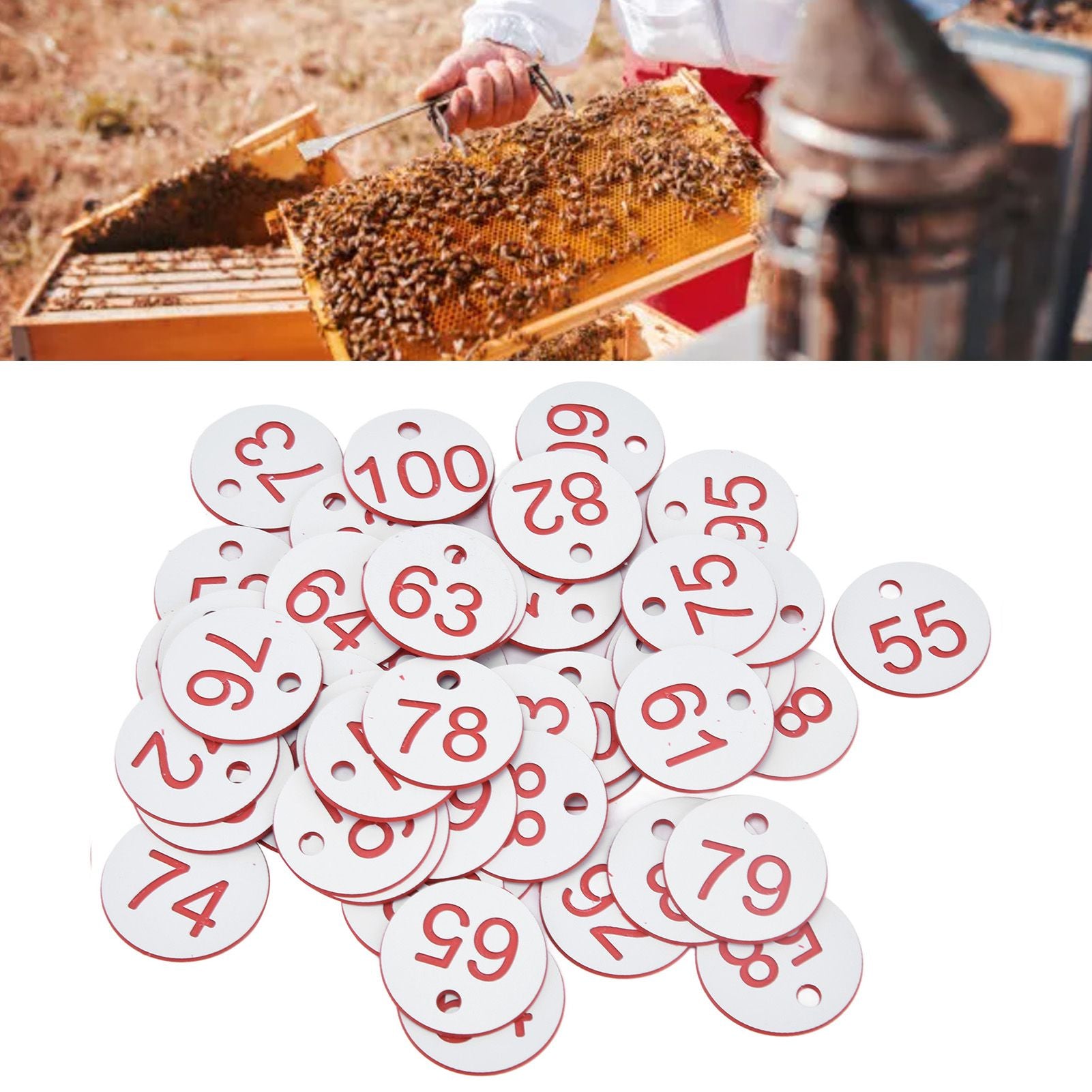 50Pcs Beehive Tag ABS Round Numbered Sign Labels with Hole Livestock Beekeeping SuppliesWhite 51-100