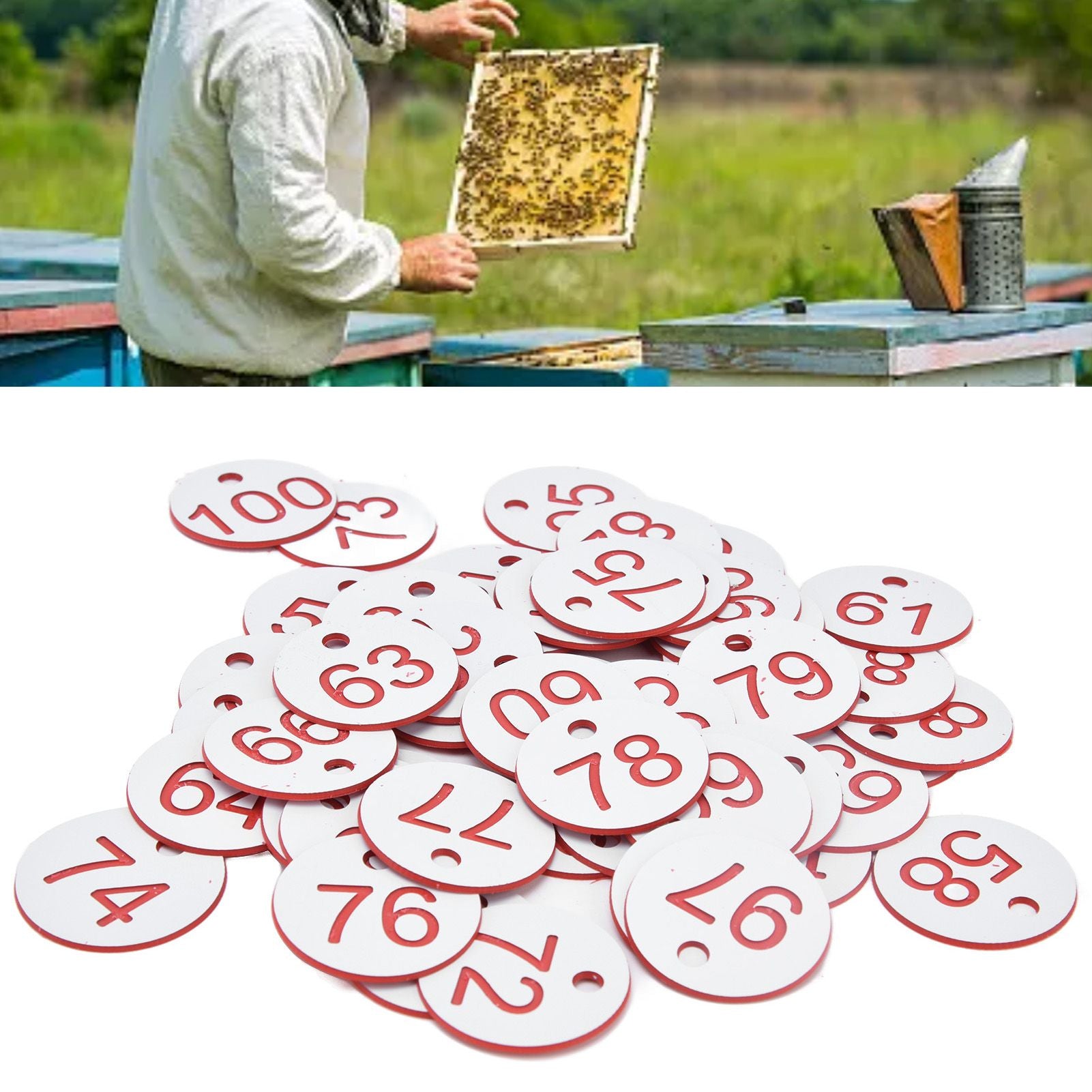 50Pcs Beehive Tag ABS Round Numbered Sign Labels with Hole Livestock Beekeeping SuppliesWhite 51-100